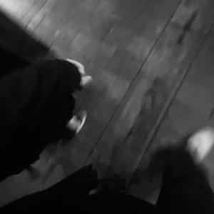 亚洲AV无码专区首页
